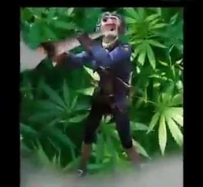 Sea of Thieves: 2 official announcement trailer released ð¤¯