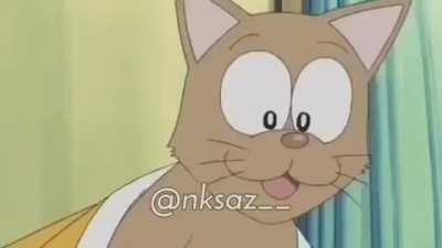 Sus