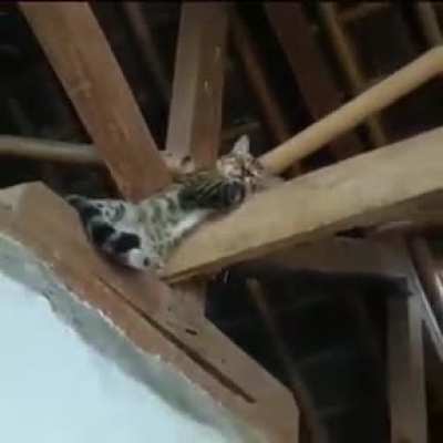 Sleep tight