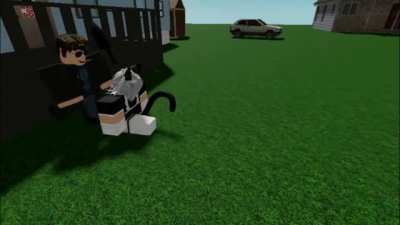 stupid dog