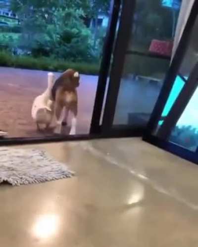the start of a long pure friendship