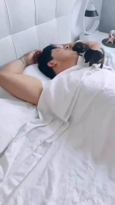 Wake-Up, Wake-Up!!