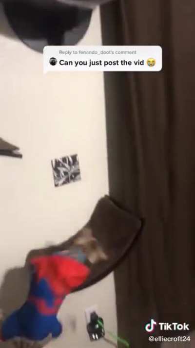 Cat done ate it