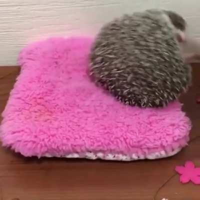 Woah....Woah....WOAAAAAAAAHHH-