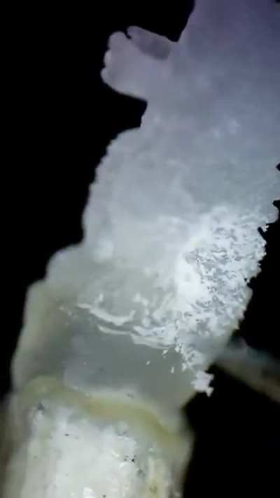 Godzilla carved from a grain of rice