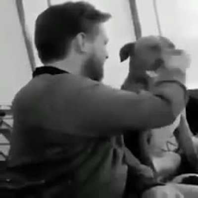 toma humano poha