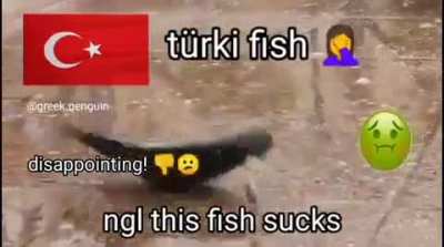 💪💪🇬🇷🇬🇷🇬🇷😍😍❤️