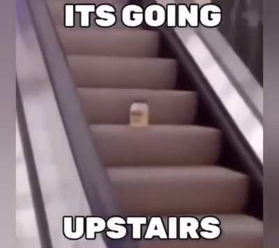 Mmm mayonnaise