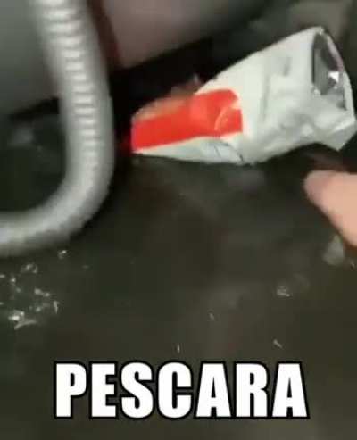 Pee scara