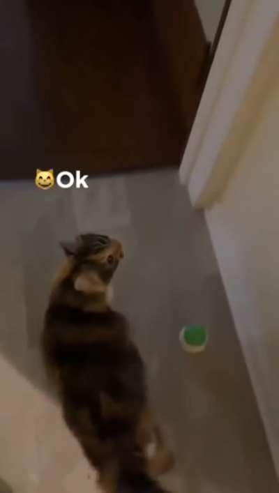 Okay!