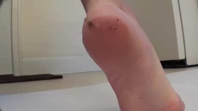 Barefoot Crickets