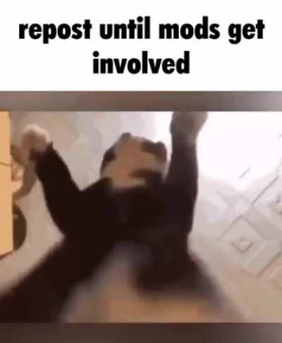 title