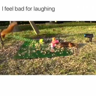 Very fast 😂