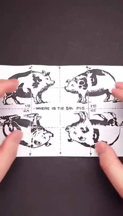 Where is the 5th pig?