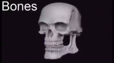 Bones