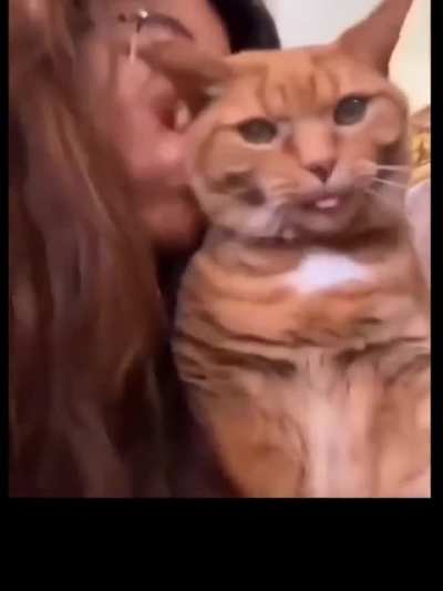 Cat kiss
