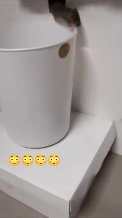Hole in the wall