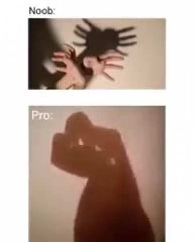 eu_nvr