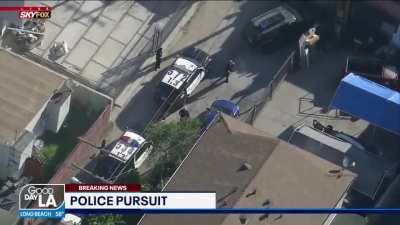 hide and seek with the cops