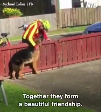 Mail man stops by to pet his favourite dog.