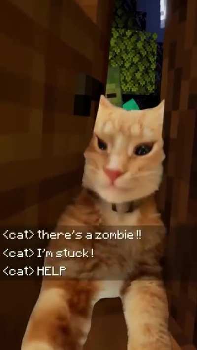 Help him!