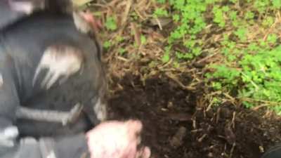 Spot of gardening