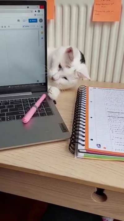 I cannot work in these conditions