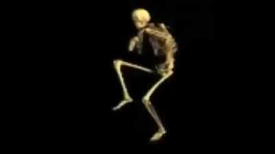XD