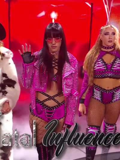 NXT 11/4/25