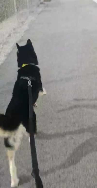 Zooming