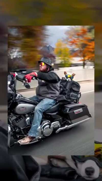 Guy takes picture of rider and his dog; prints it, frames it, and hands it over.