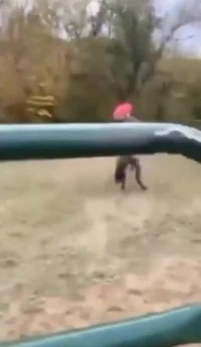 Someone give that rider a medal