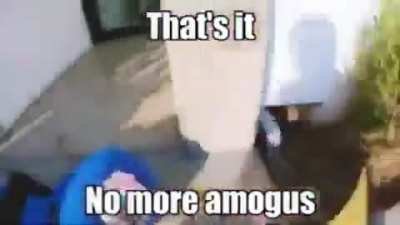 Amon gus