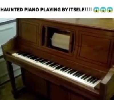haunted life