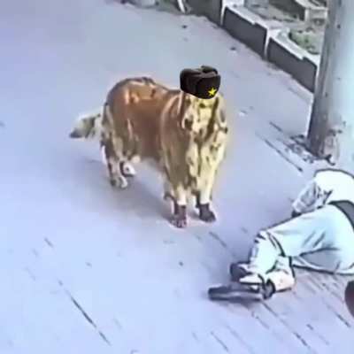 This took a stupid amount of time