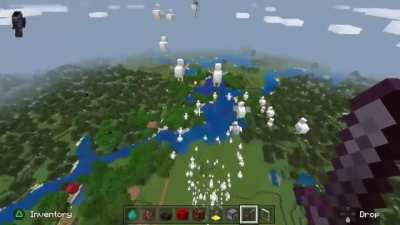 chicken spiral v2