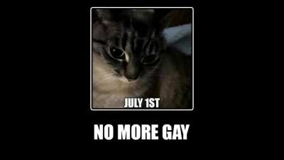 No more gay