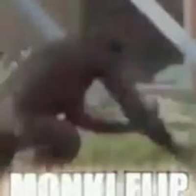 O título foi fazer um Flip