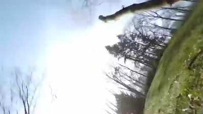 Drone shot of a zoo