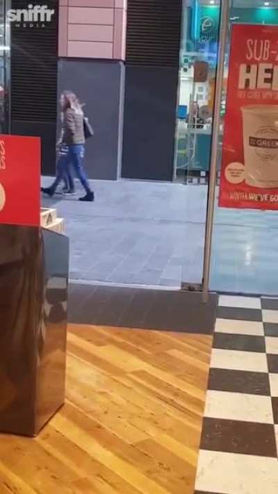 Theft bird
