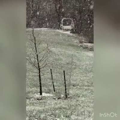 Little dork enjoying his first snow