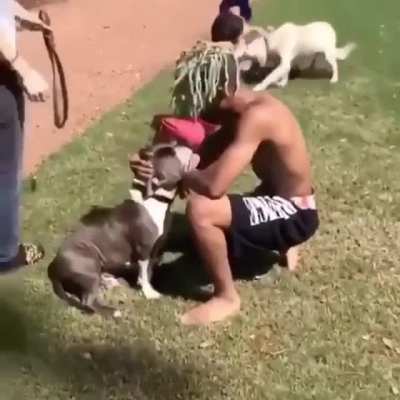Dog whisperer🗣🐶🐕