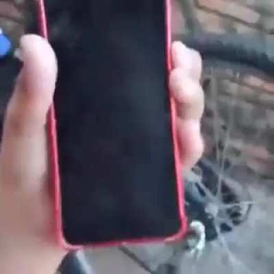 Celular travo