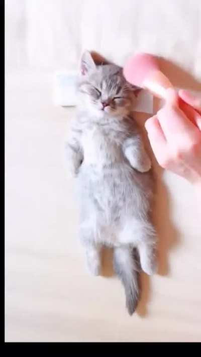 Brushy brushy
