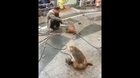 You shouldn’t have done that