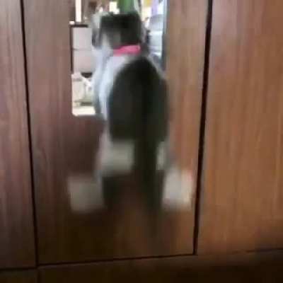 Ready, set, crash