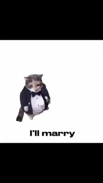 Does this count?