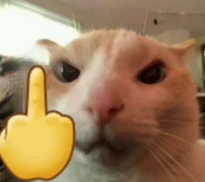 D: