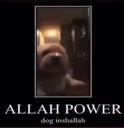 🔥🔥🔥