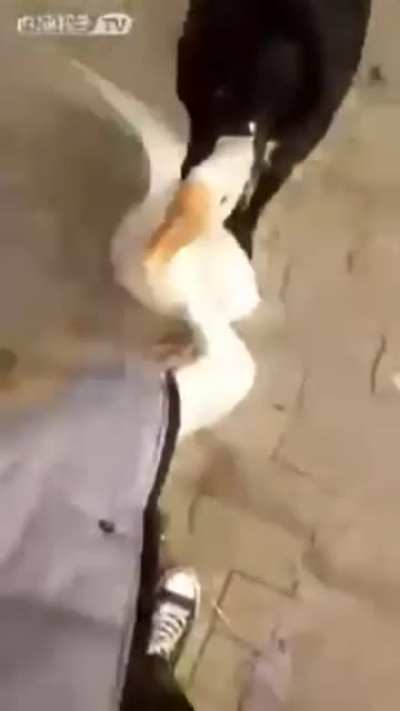 AAAAAAAA
